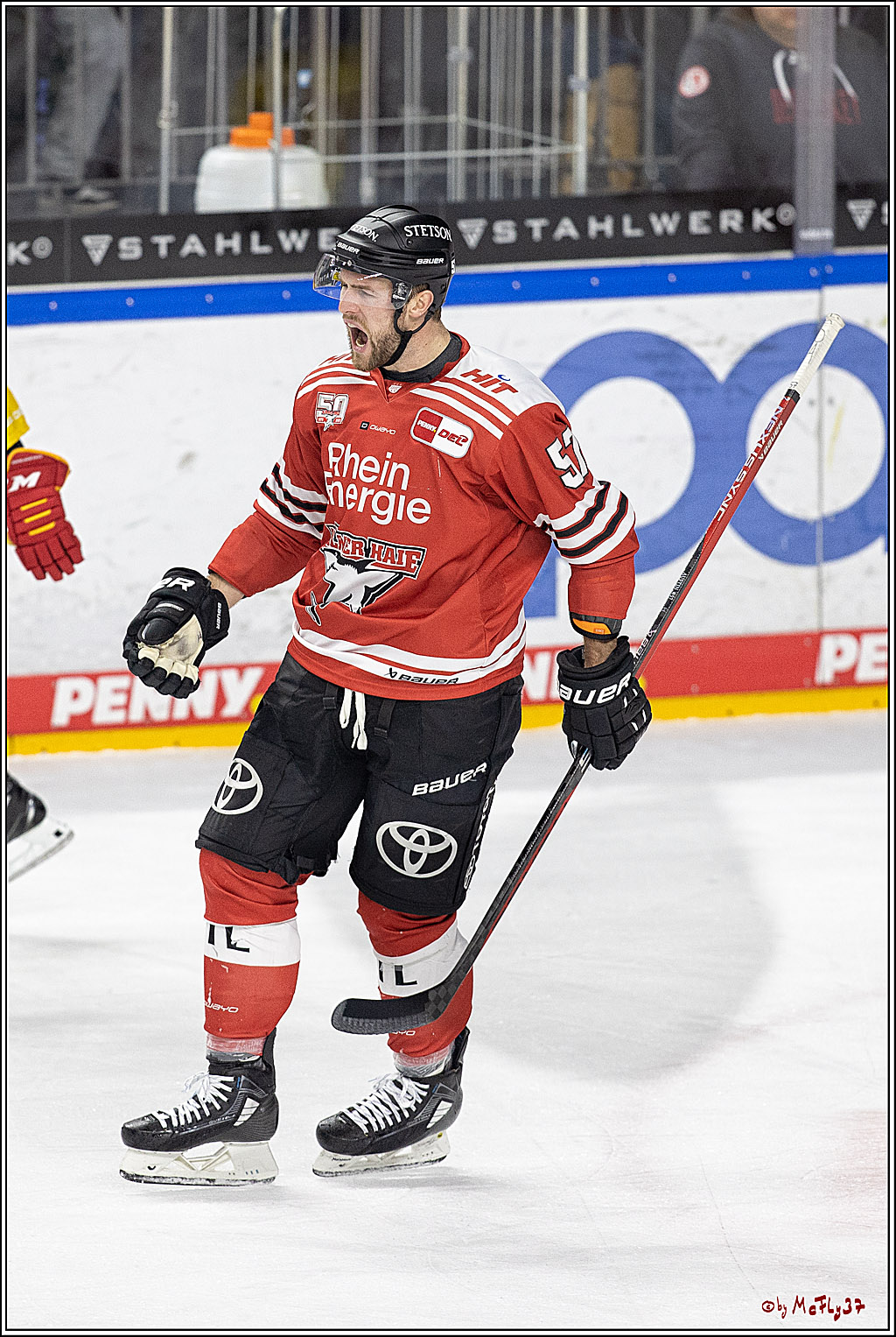 PENNY DEL;  Koelner Haie - Duesseldorfer EG; Koeln, 02.01.2023